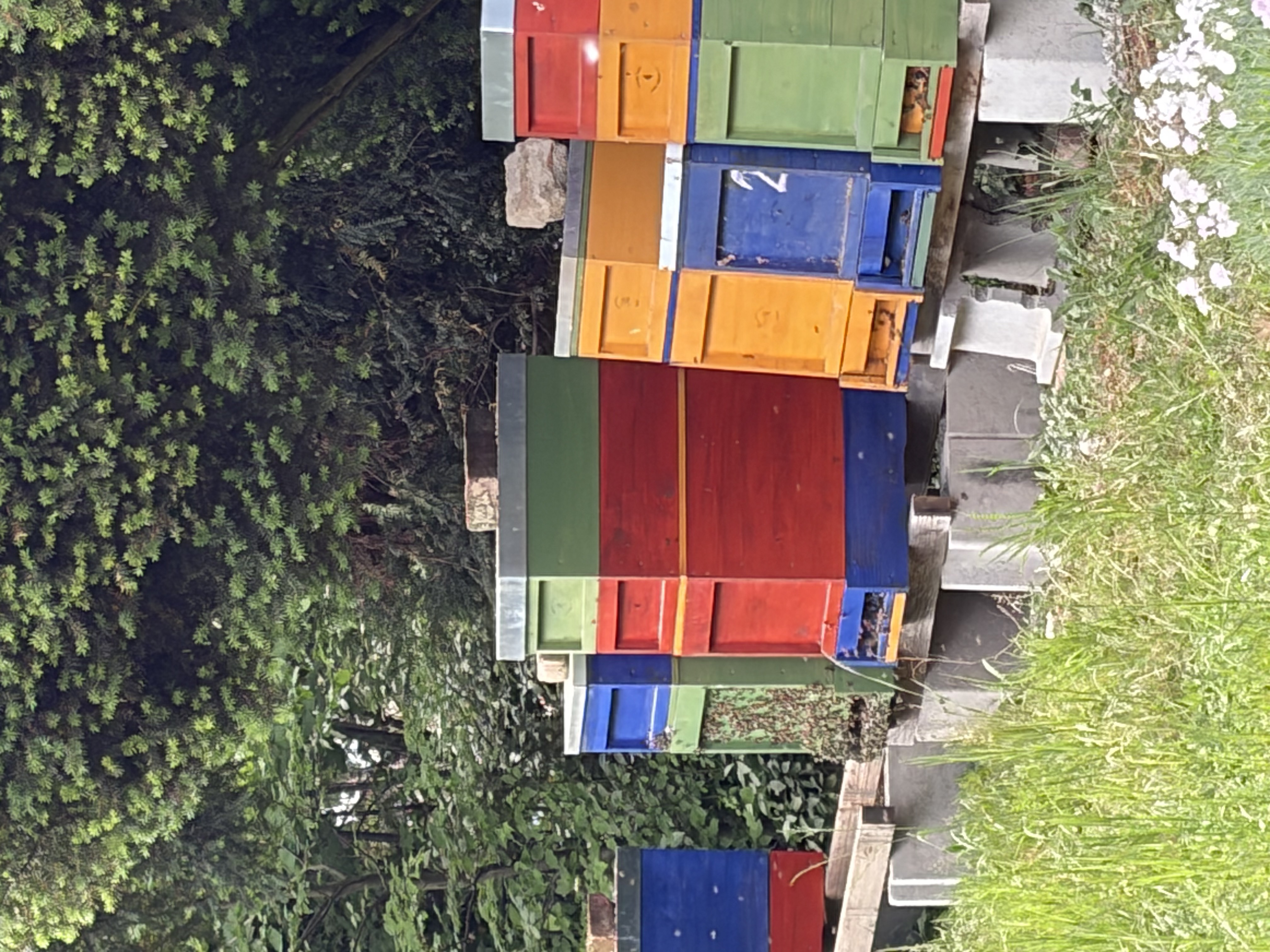 Bienenstöcke in Pottenbrunn